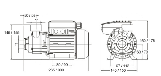 Ficha técnica bomba periférica BCN PE - Especificações dimensões e características