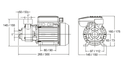 Ficha técnica bomba periférica BCN PE - Especificações dimensões e características